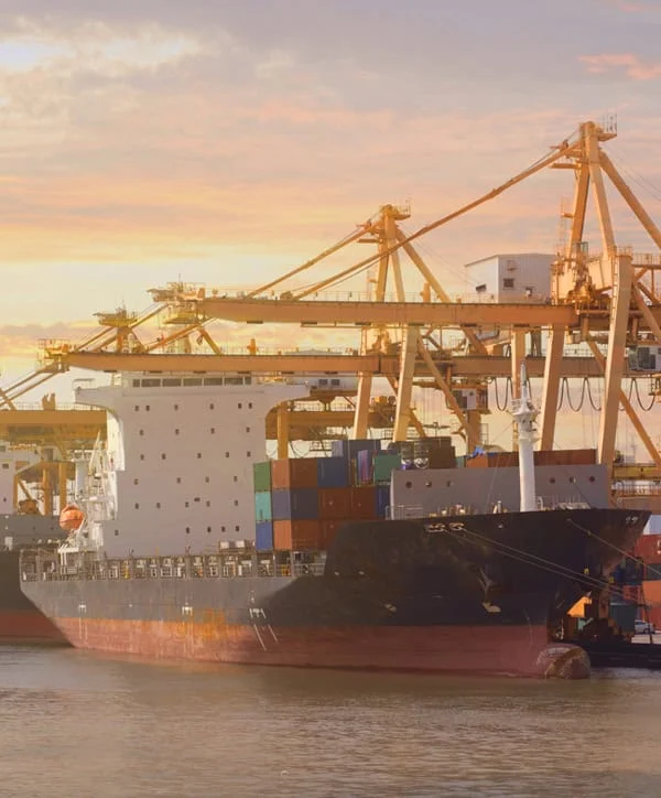 Warehouse logistics and Amazon FBA preparation