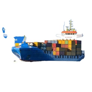 Professional Express LCL Sea Cargo Shipping Agent