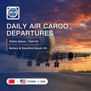 USA Logistics Provider DDP Clearance