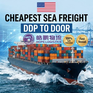 DDP Air Sea Freight Forwarder Shipping Agent LCL Express